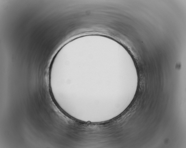 X0000097591516200803211625