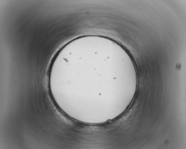 X0000097591517200803211625