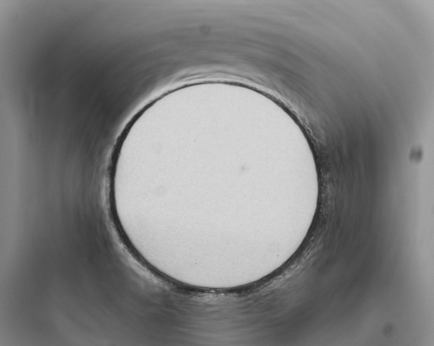 X0000097591518200803211625