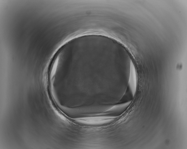 X0000097591519200803211625