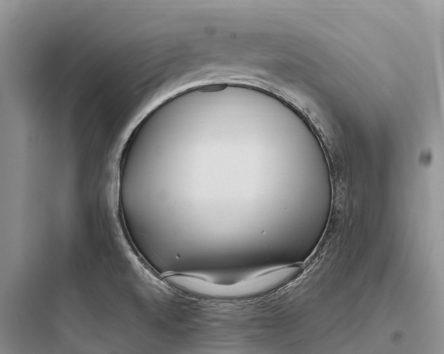 X0000097591520200803211625