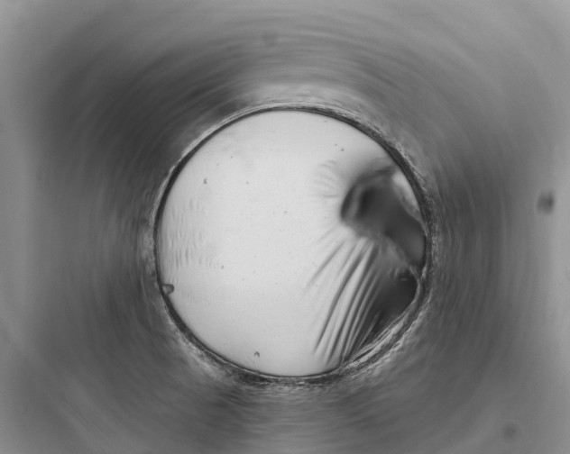 X0000097591521200803211625