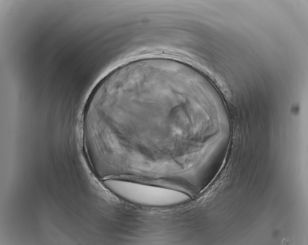 X0000097591522200803211625