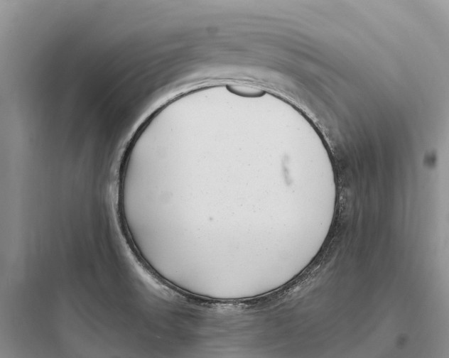 X0000097591523200803211625