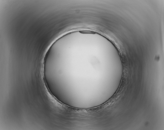 X0000097591524200803211625