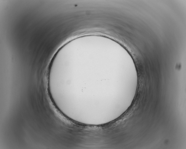 X0000097591526200803211625