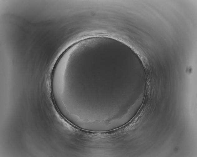 X0000097591527200803211625