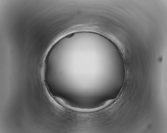 X0000097591528200803211625