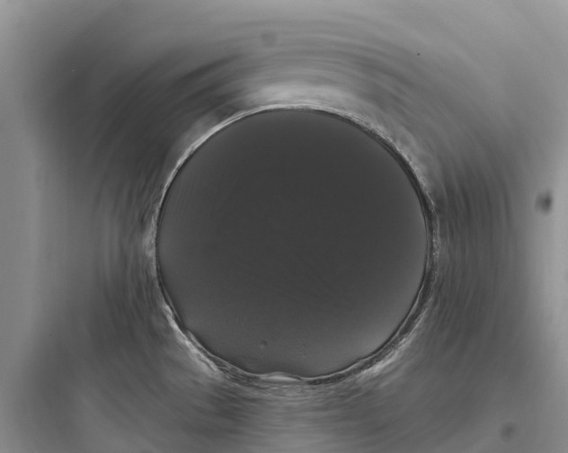 X0000097591529200803211625