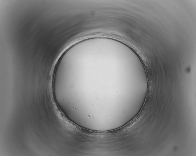 X0000097591530200803211625