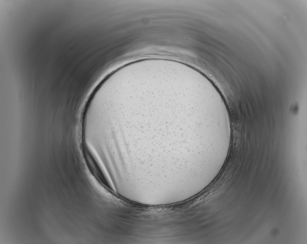 X0000097591531200803211625