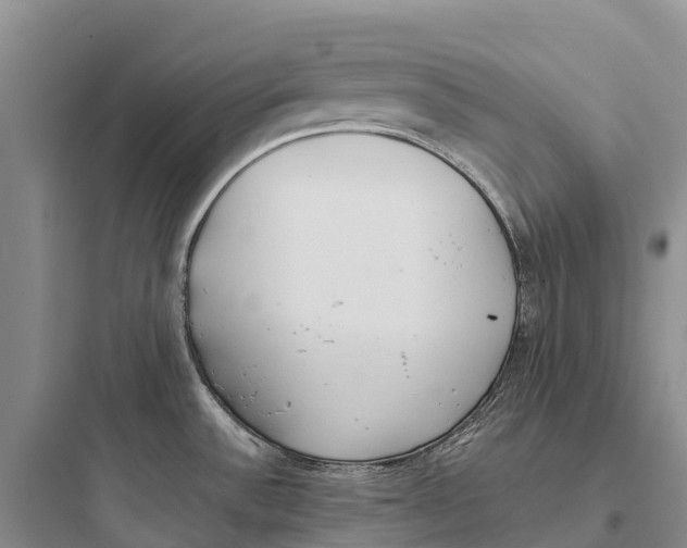 X0000097591532200803211625