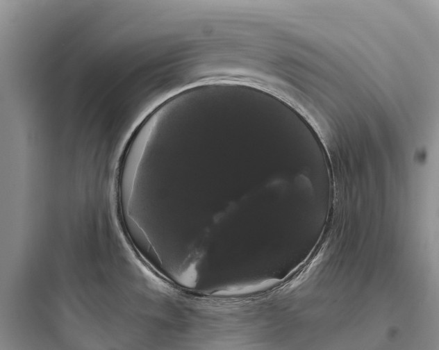 X0000097591533200803211625