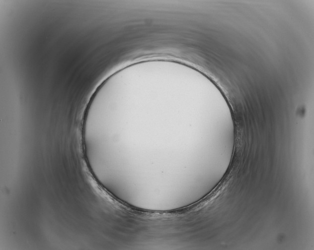 X0000097591534200803211625