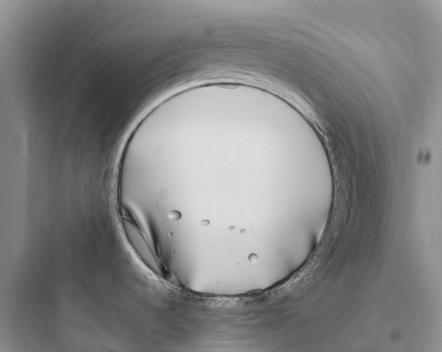 X0000097591536200803211625