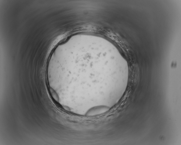 X0000097590003200803280938