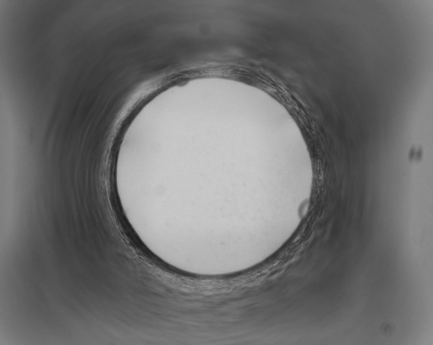 X0000097590006200803280938