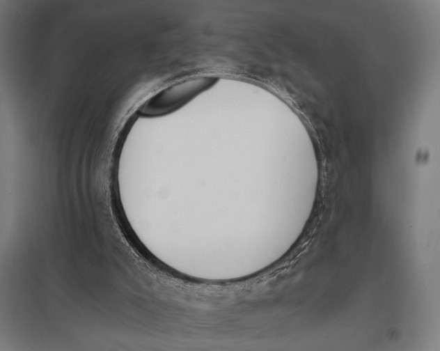 X0000097590007200803280938