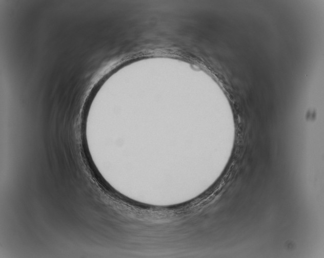 X0000097590008200803280938