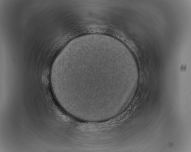 X0000097590009200803280938