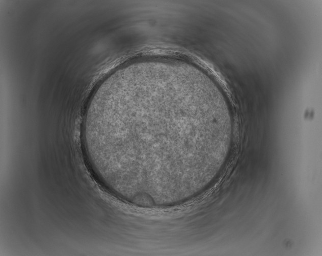 X0000097590010200803280938