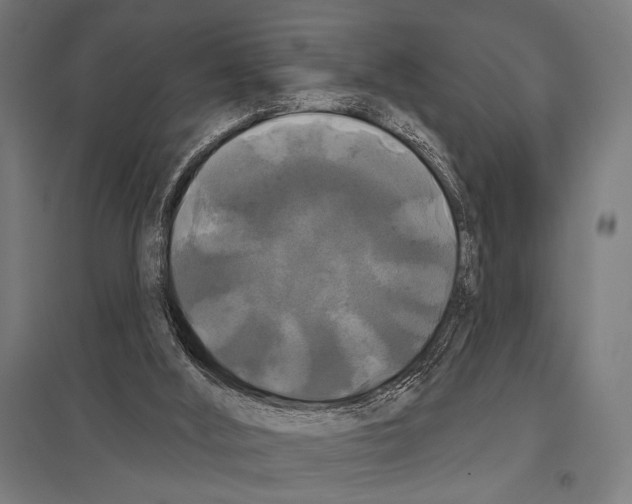 X0000097590012200803280938