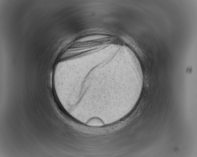 X0000097590014200803280938