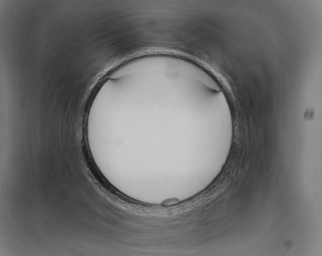 X0000097590015200803280938