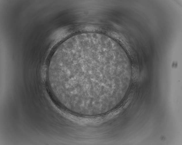 X0000097590016200803280938