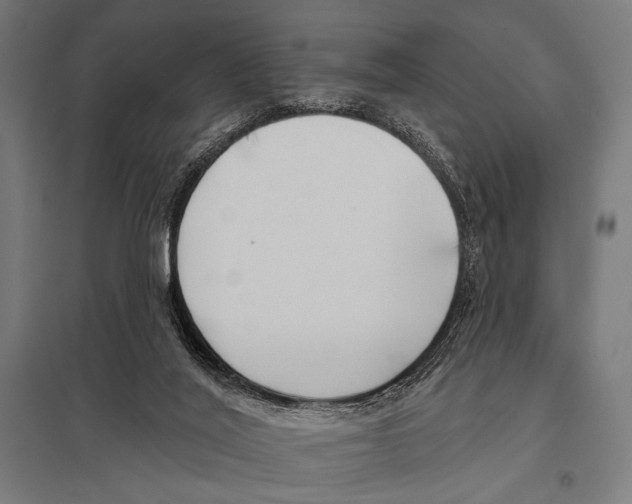 X0000097590020200803280938