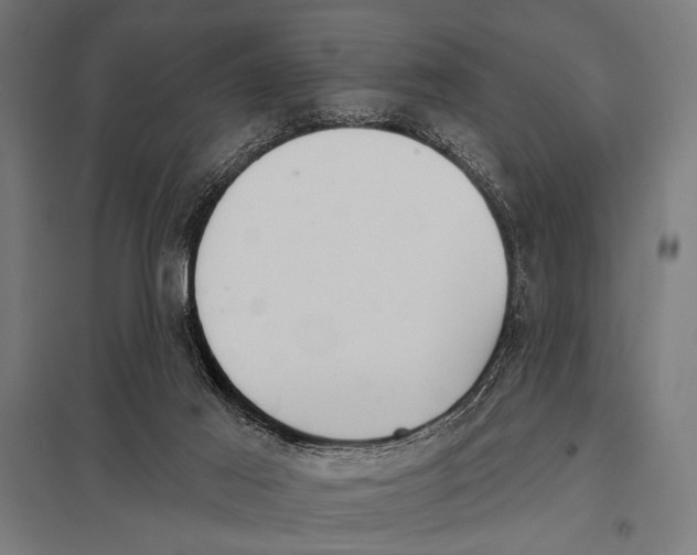 X0000097590021200803280938