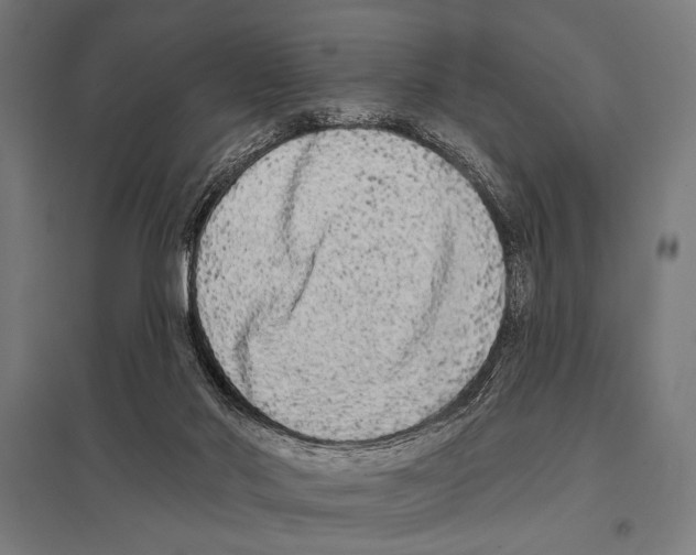 X0000097590022200803280938