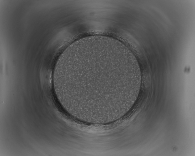 X0000097590024200803280938