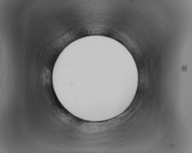 X0000097590025200803280938