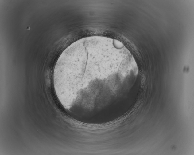 X0000097590026200803280938