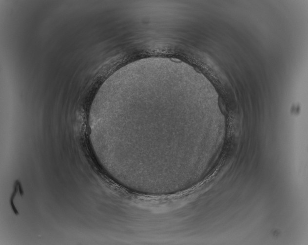 X0000097590029200803280938