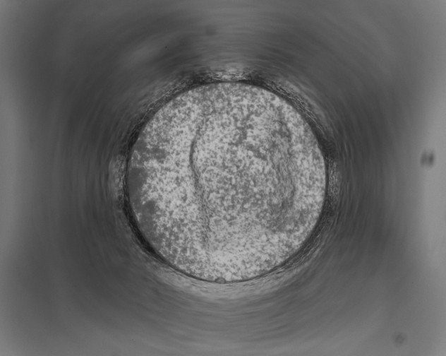 X0000097590030200803280938