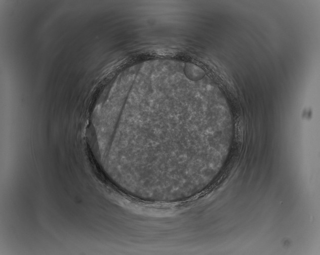 X0000097590032200803280938