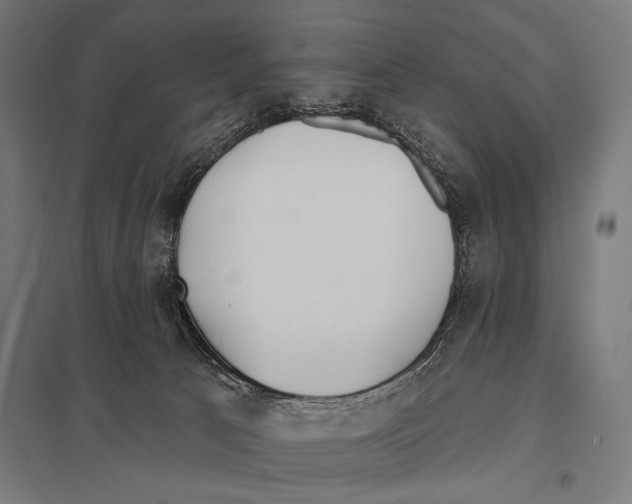 X0000097590033200803280938