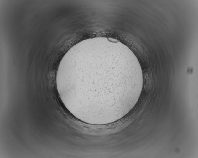 X0000097590034200803280938