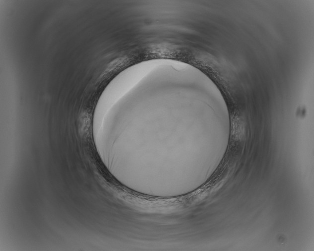 X0000097590036200803280938