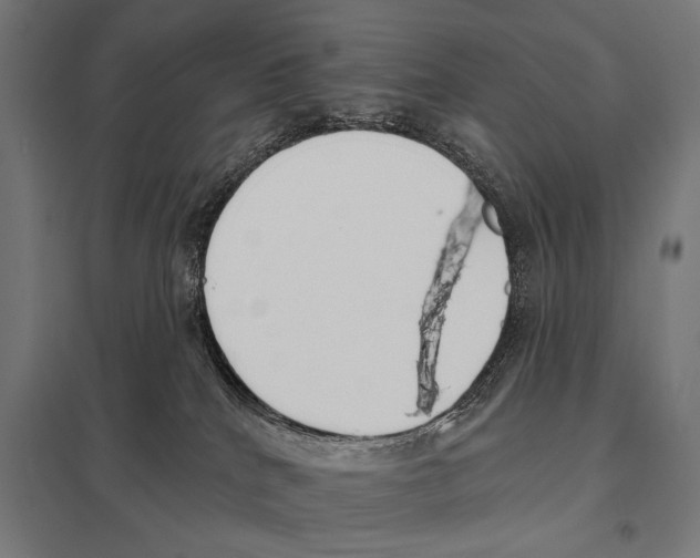 X0000097590040200803280938