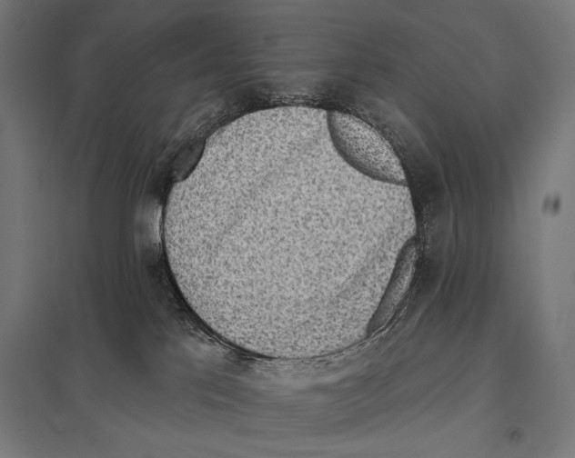 X0000097590041200803280938