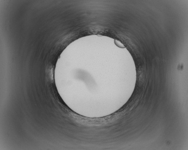 X0000097590042200803280938