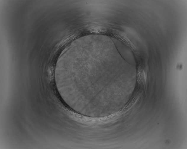 X0000097590043200803280938