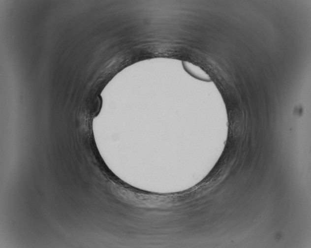 X0000097590044200803280938