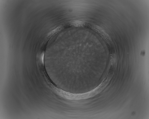 X0000097590047200803280937