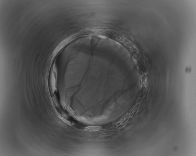 X0000097590051200803280937