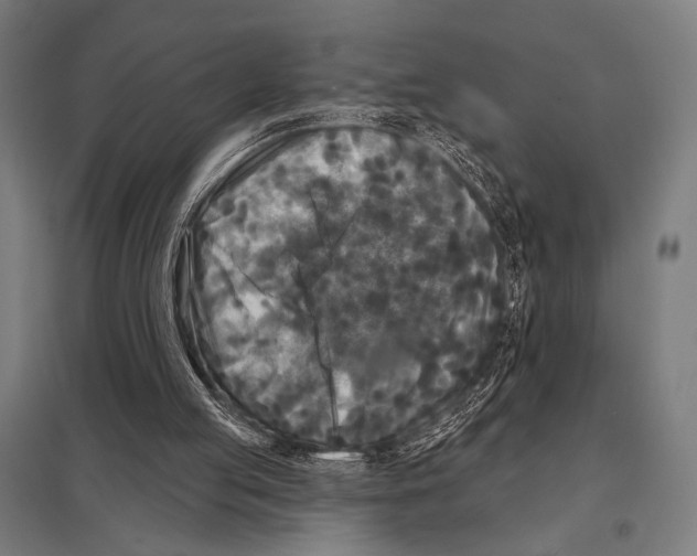 X0000097590053200803280937