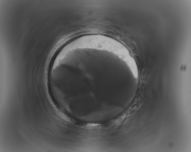 X0000097590055200803280937